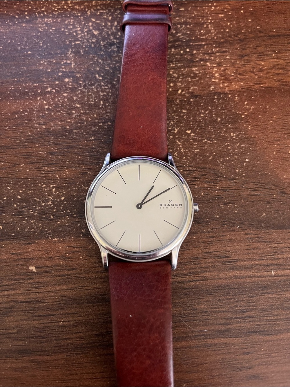 Skagen Silver Case Cream Dial Watch with Brown Leather Strap